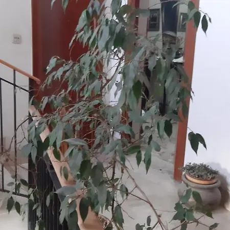 Marianna Apartment Palermo